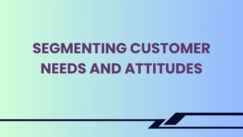Segmenting Customer Needs and Attitudes cover image