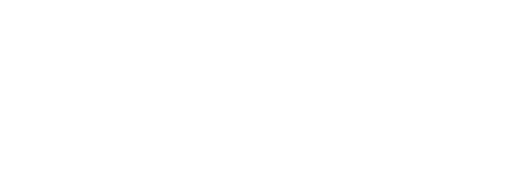Datazip Illustration